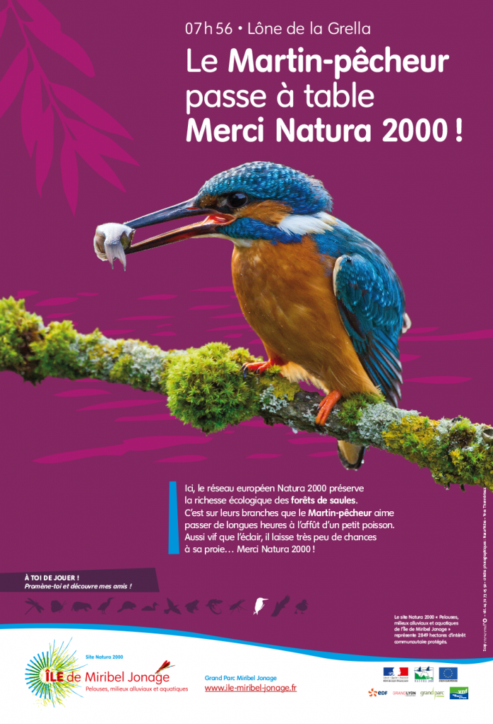 Grand parc Miribel Jonage