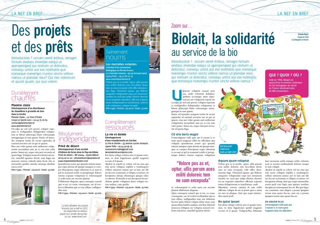 la nef fil d'argent journal